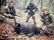 Прикордонники вбили ведмедицю? На Закарпатті спалахнув гучний скандал