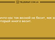 А у вас спина белая: самые смешные анекдоты на утро