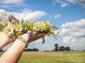 Встречаем Ивана Купала