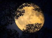 Полнолуние в октябре 2020: чего стоит ожидать