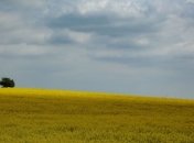 Правительство профинансировало охрану природы Украины