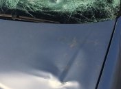 В Закарпатье авто насмерть переехало подростка, упавшего с телеги (фото)