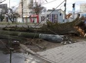 Львовом пронесся сильный ветер: сорваны крыши домов, повалены деревья и столбы