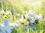 Погода в Украине 8 июля: солнечно, без осадков 