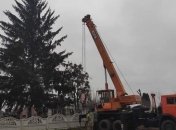 В центре города на Ровенщине установили елку с кладбища: мэр города не видит в этом ничего плохого (фото, видео)