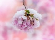 Погода в Украине на 1 марта