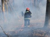 Ситуация с пожарами: на Житомирщине за сутки выгорело до 500 гектаров леса (Фото)