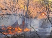 "Цена безразличия": сколько Украина потратит на ликвидацию последствий пожара в зоне отчуждения