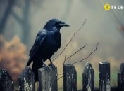 Мистический вестник (фото создано с помощью ИИ)