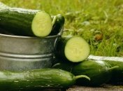 В Украине подешевел популярный овощ 