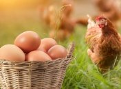 Яйца в Украине подорожали за год больше, чем вдвое