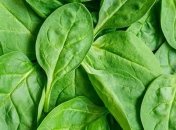 Ученые использовали шпинат для регенерации тканей сердца