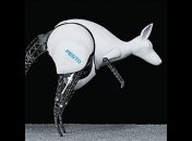 Бионический кенгуру копирует настоящего