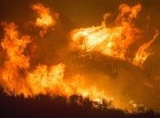 Жертвами масштабних пожеж у Туреччині стали шість осіб, поліція затримала палія