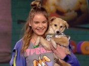 "Україна має талант-8": девочка-тренер и ее забавная собака поразили всех (Видео)