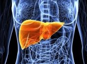 Самые популярные методы очищения печени в домашних условиях