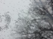 Дожди, мокрый снег и ночные заморозки: какой будет погода на этой неделе