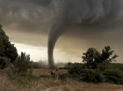 Какой сегодня праздник - День святого Феодота