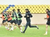 Шевченко может оставить Реброва без работы