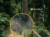 Уникального хищника увидели в Черкасской области