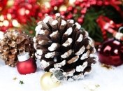 В Винницком горсовете пройдет выставка "Зимняя феерия"