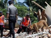 Разрушительное землетрясение в Индонезии: число жертв продолжает увеличиваться 