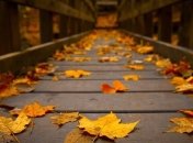 Знаменательные события в истории: 24 октября 2016 года