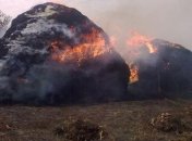 На Полтавщине из-за детской шалости сгорело 10 тонн сена