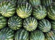 За неделю цены на арбуз будут в пределах 1,7 грн/кг