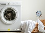 Биои вещи требуют правильного ухода (изображение создано с помощью ИИ)