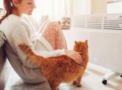 Обогреватели для квартиры и частного дома: какие разновидности бывают и в чем разница