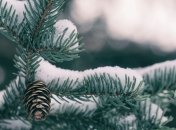 Циклон принесет в Украину жуткую непогоду: синоптик озвучила прогноз на 13 января