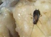 Тараканы и черви: Матиос рассказал о питании курсантов вуза Воздушных сил 