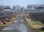 ВСУ подсчитали потраченные средства на Балаклею