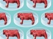 Мясо с пробирки несет больше опасности, чем его натуральный аналог