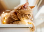 С переходом на летнее время спать будем на час меньше