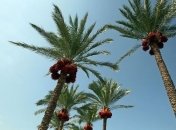 Чеджу - один из красивейших островов в Восточной Азии