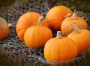 Вы будете поражены результатами