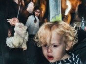 Лучшие работы из конкурса уличных снимков (Фото)