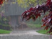 Погода в Украине на сегодня: дожди не покидают страну