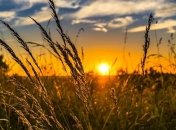 Какого числа летнее солнцестояние в 2020 году