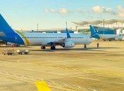 Гибель щенков на рейсе "Киев-Торонто": в МАУ начали служебное расследование