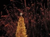 Волшебство не удалось: с главной елки страны снимают шляпу (фото, видео)