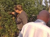 На Полтавщине обнаружили более 6,5 кг наркосырья и конопли