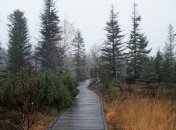 Зима отменяется: в Украину идет потепление и дожди с мокрым снегом