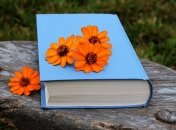 Что почитать интересного: пять ярких книг, которые нельзя пропустить