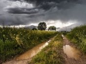 Грозы и жара в Украине: дождливый циклон не отступает 