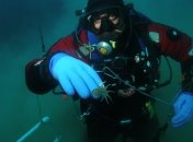 Вчені відкрили новий вид п’явок