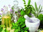 Лечебные свойства крапивы при нарушении эректильной функции