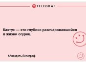 Жарт-хвилинка: нова порція вечірніх анекдотів, яка подарує вам посмішку